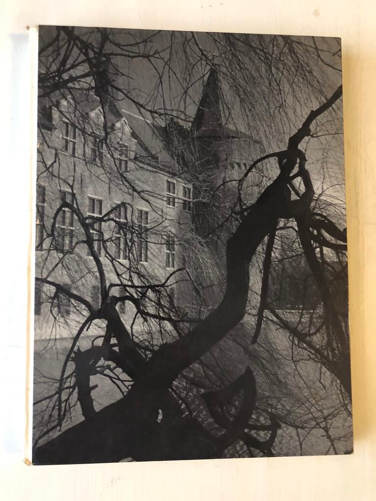 Helmond: boek … Een kasteel tussen de fabrieken, Antiek en Kunst, Ophalen of Verzenden