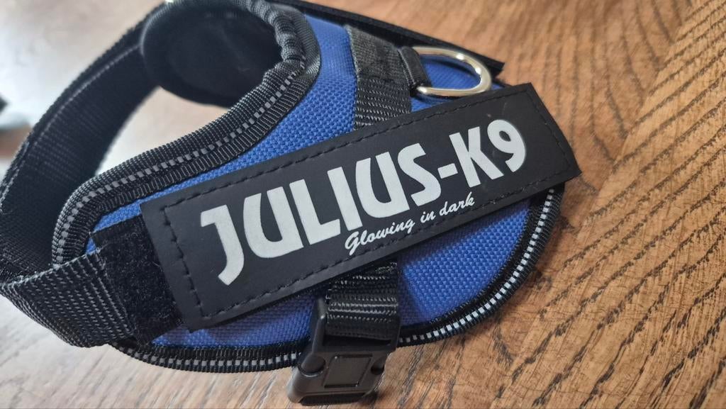 Julius tuigje klein hondje nieuw, Ophalen of Verzenden, Nieuw