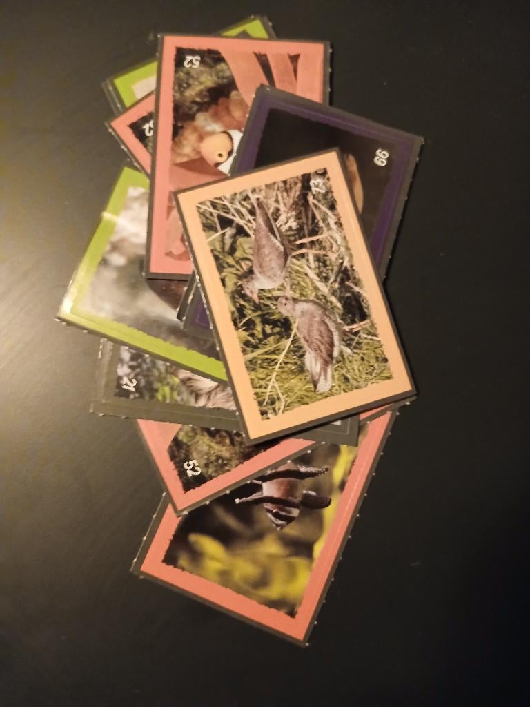 Dekamarkt Artis Deka Dieren Stickers (2026), Dekamarkt, Ophalen of Verzenden