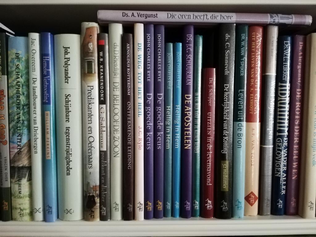 Theologische boeken uitgegeven door den Hertog (gebonden), Boeken, Ophalen of Verzenden, Gelezen, Christendom | Protestants