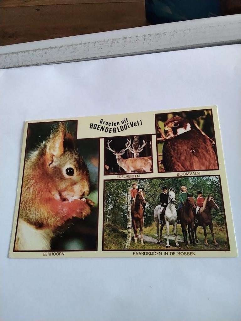 GROETEN UIT HOENDERLOO. 1983, Ophalen of Verzenden, 1980 tot heden