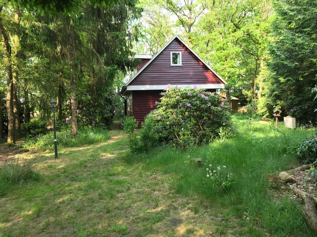 Vakantiehuis Drenthe Drents-Friese Wold., Vakantie, Vakantiehuizen | Nederland, 5 personen, In bos, 2 slaapkamers, Landelijk