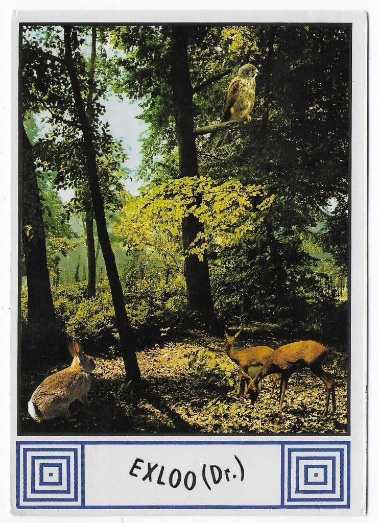 Exloo gelopen Ansichtkaart ( B2709 ), Ophalen of Verzenden, 1980 tot heden, Gelopen