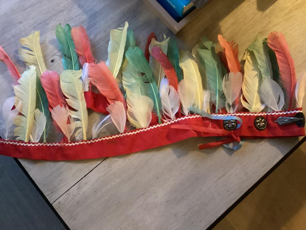 Verentooi, hoofdband met gekleurde veren, verkleedkleren, €1, Ophalen of Verzenden, Gebruikt, Jongen of Meisje