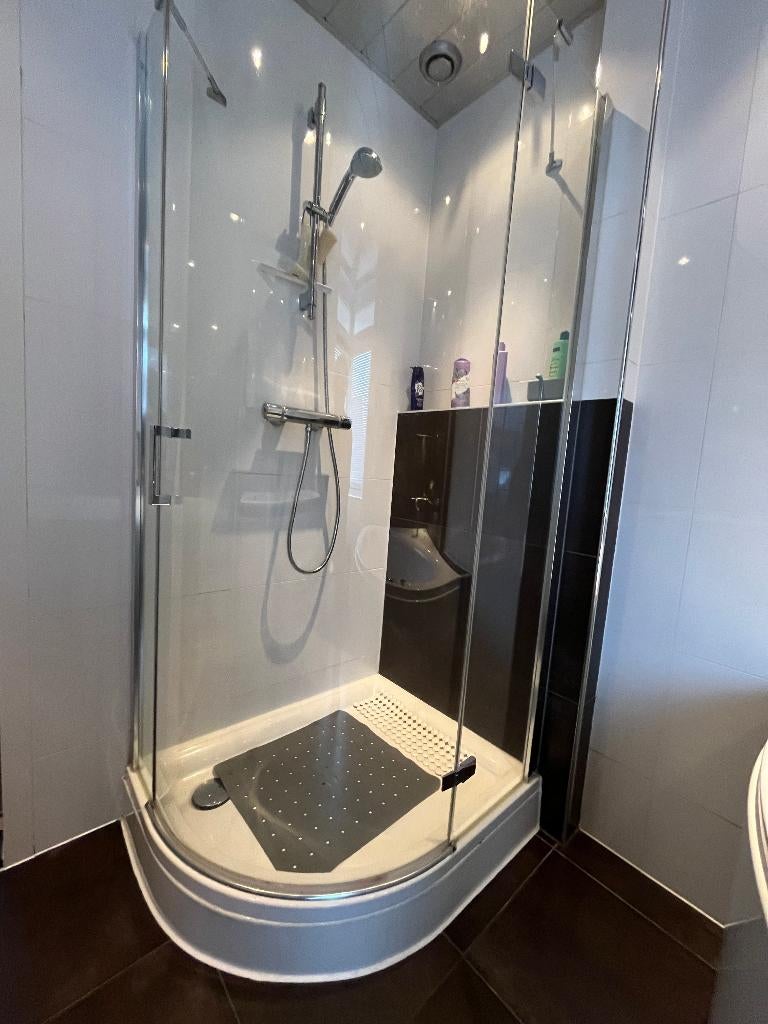 Sealskin douchecabine met rond gebogen glazen deur, Ophalen, Gebruikt, Glas, Douche