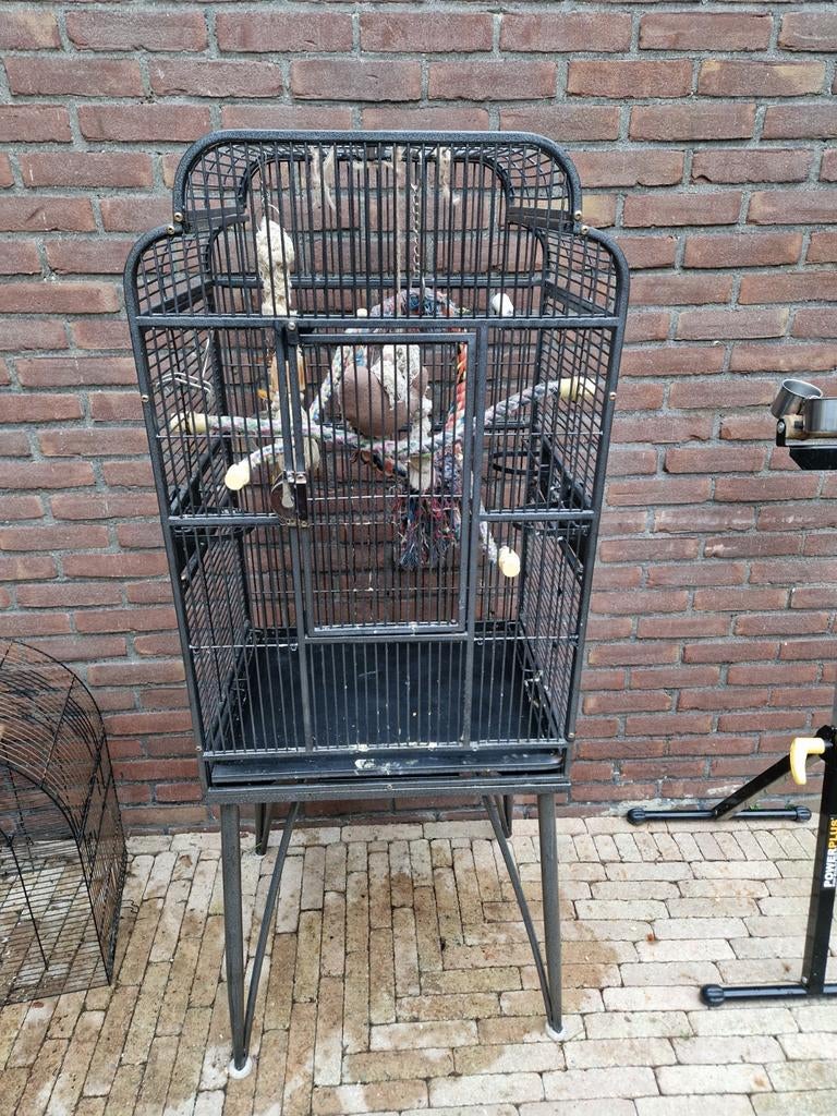 Vogelkooi, Ophalen, Zo goed als nieuw, Metaal, Vogelkooi