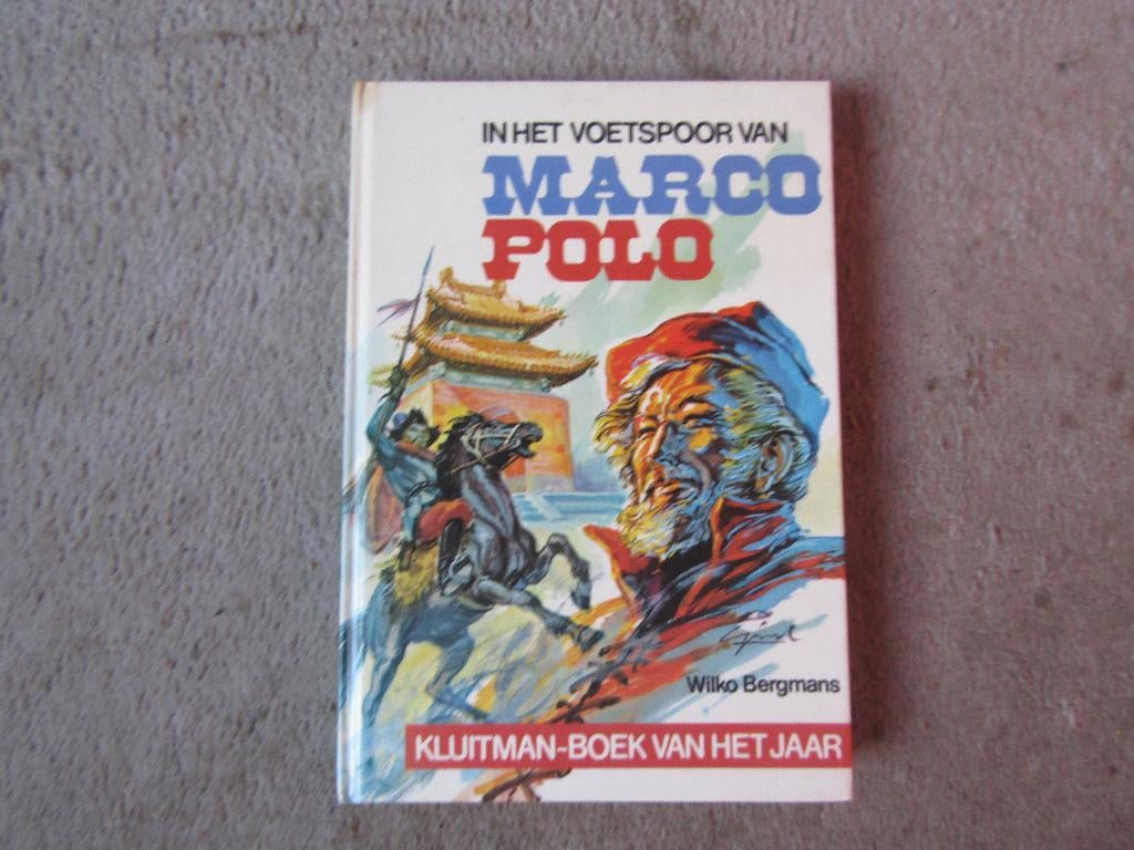 Boek: In het voetspoor van Marco Polo, Boeken, Ophalen of Verzenden, Gelezen, Wilko Bergmans, Non-fictie