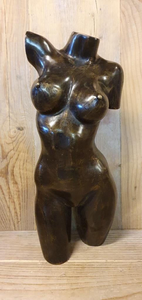 TORSO / MAN/ VROUW / Bronzen beeld, Ophalen of Verzenden, Brons