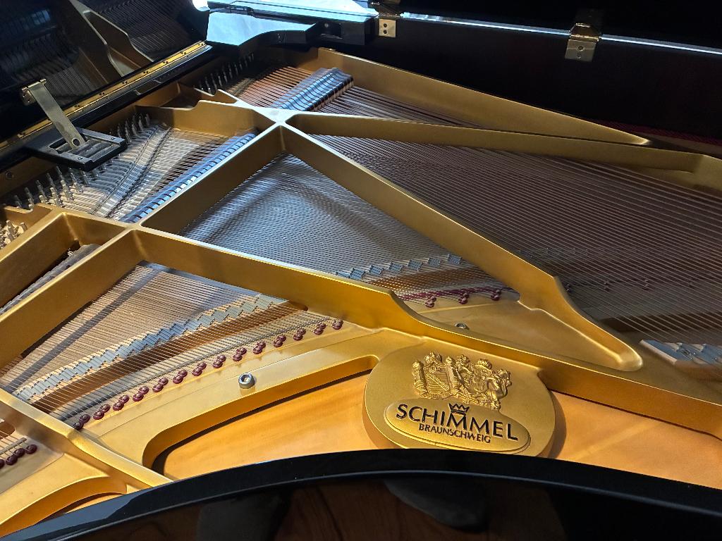 vleugel, Ophalen, Gebruikt, Zwart, Hoogglans