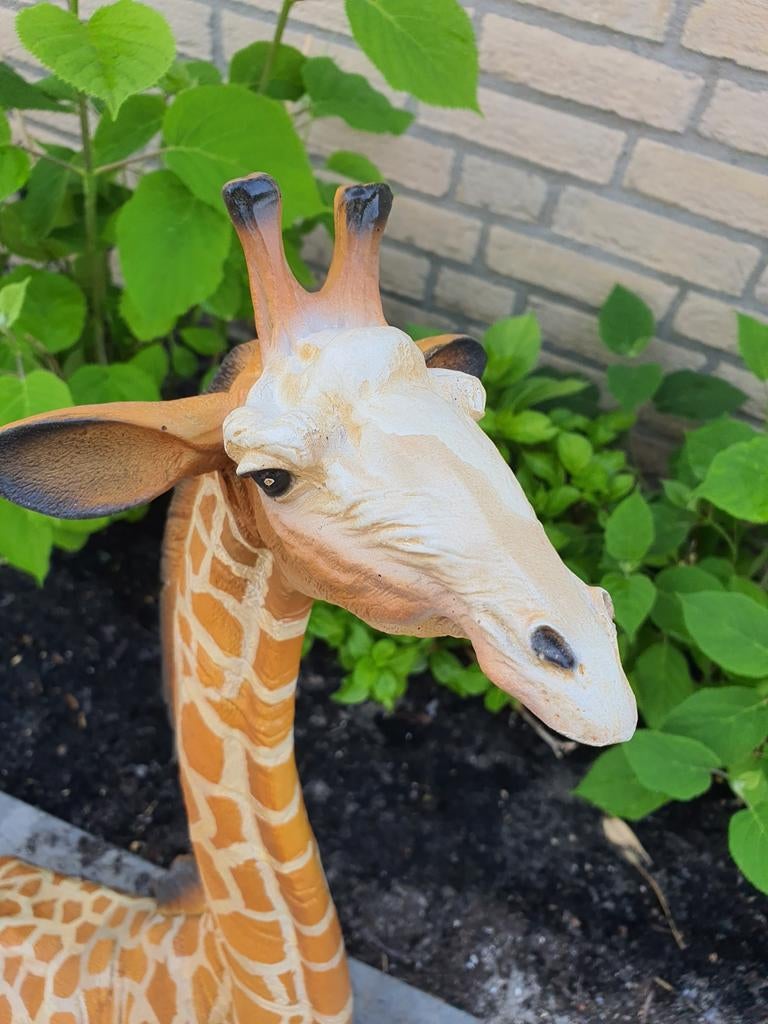 Liggende Giraffe, Tuin en Terras, Tuinbeelden, Ophalen, Dierenbeeld, Kunststof, Onbekend