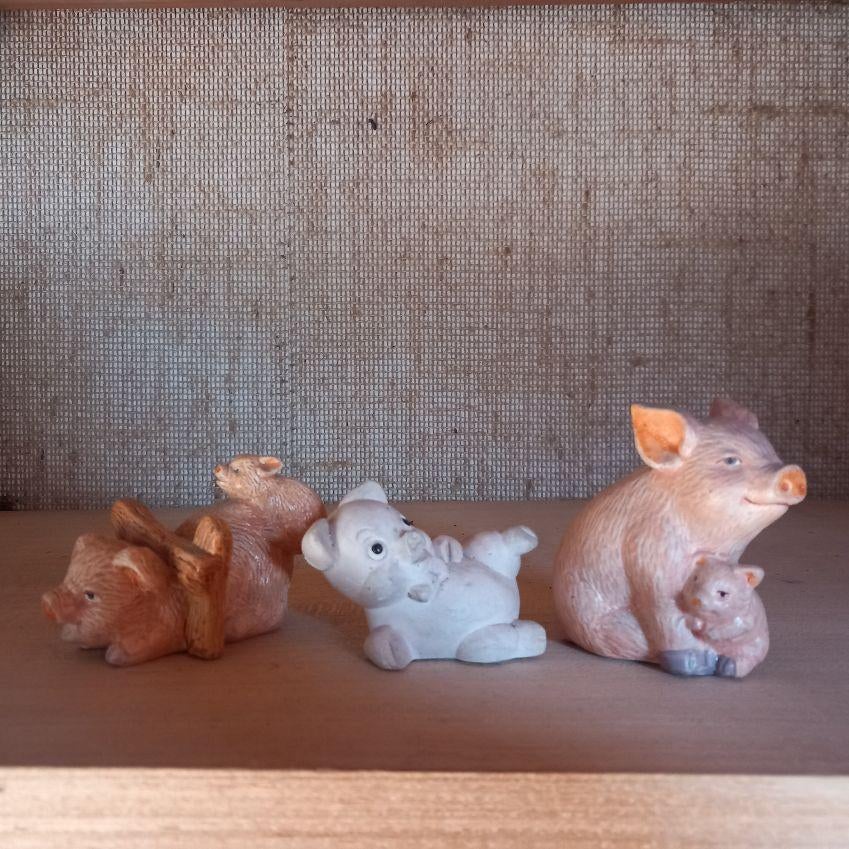 varkens, letterbak, Verzamelen, Dierenverzamelingen, Ophalen of Verzenden, Zo goed als nieuw, Opgezet dier