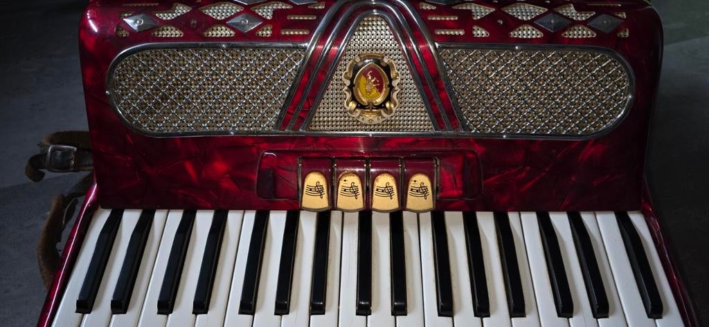 Harmonica, Muziek en Instrumenten, Ophalen of Verzenden, Overige formaten, Overige merken