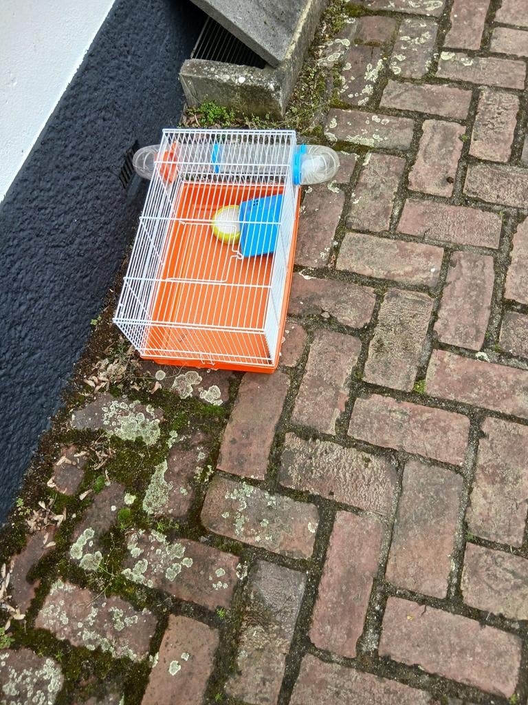 Hamsterkooi, Ophalen of Verzenden