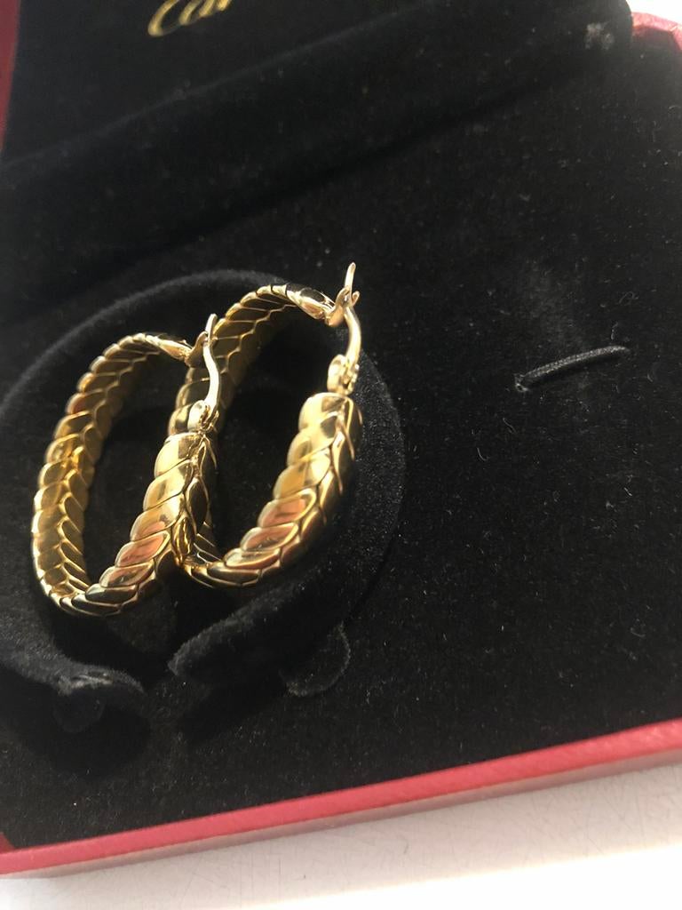 Gormit creolen goudkleurig verkleuren niet Nieuw, Overige materialen, Hangers, Nieuw, Ophalen of Verzenden