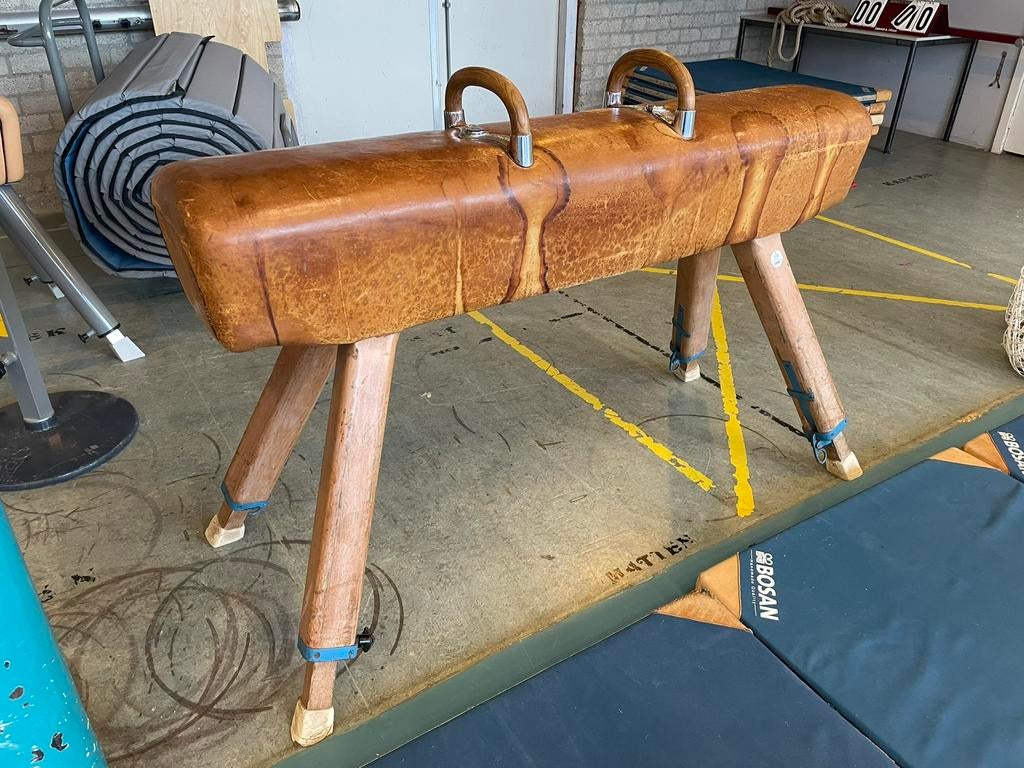 Gympaard turnbok, Sport en Fitness, Turnen, Ophalen, Gebruikt, Materiaal