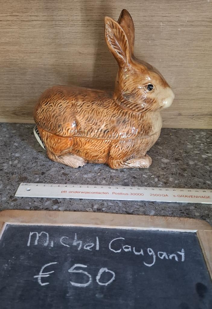 5. konijn Michel Caugant heupgewricht schaap varken, Ophalen of Verzenden