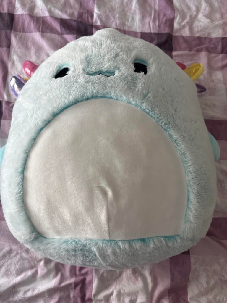 Blauwe Squishmallow knuffel, Ophalen of Verzenden, Zo goed als nieuw, Overige typen