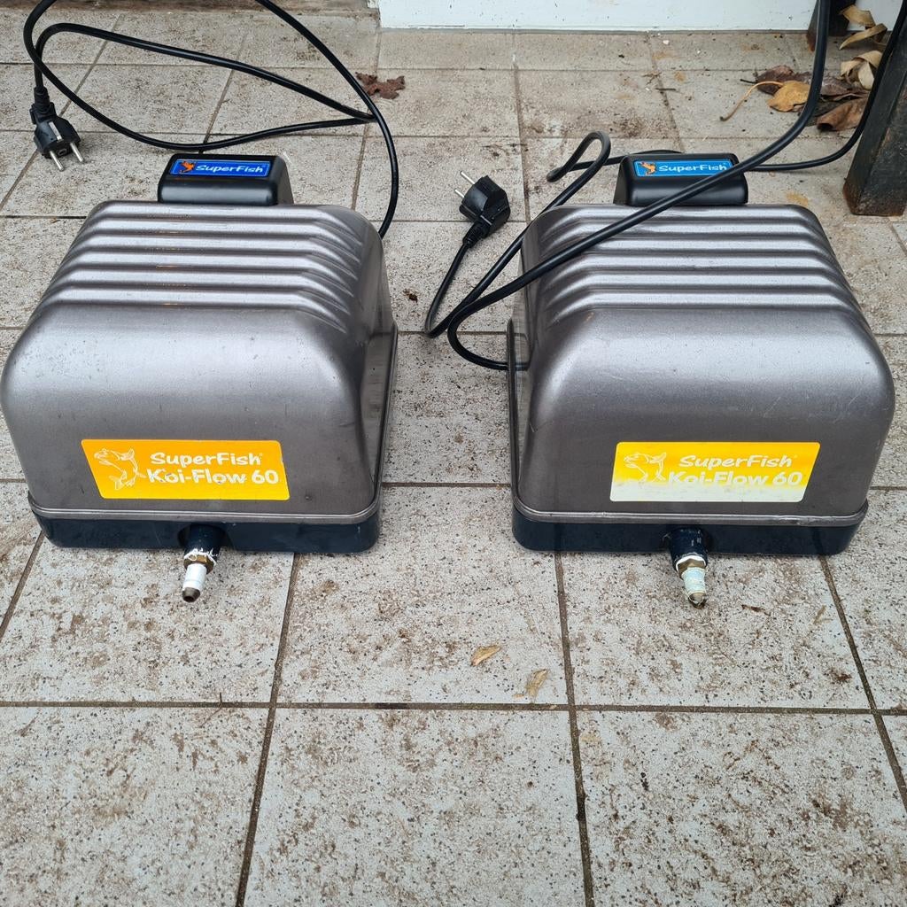 2 superfish koi-flow 60, Karper of Koi