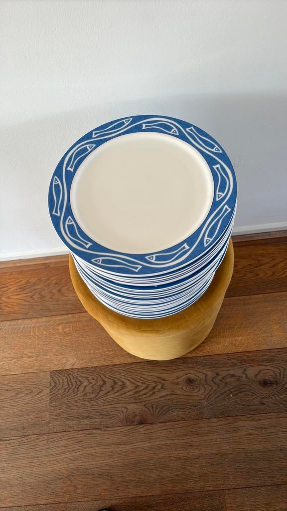 Villerroy & boch borden vis motief, Ophalen, Zo goed als nieuw, Bord(en), Overige stijlen