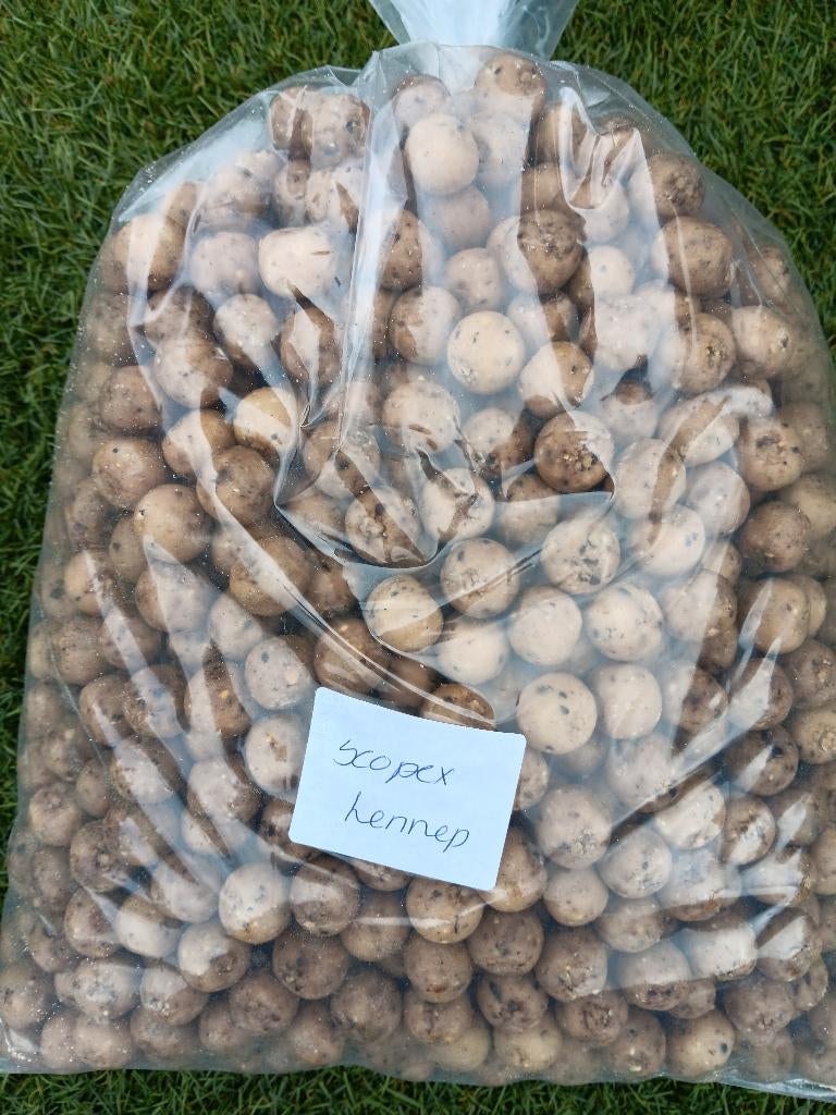 scopex hennep premium boilies, Watersport en Boten, Ophalen of Verzenden, Nieuw, Overige typen