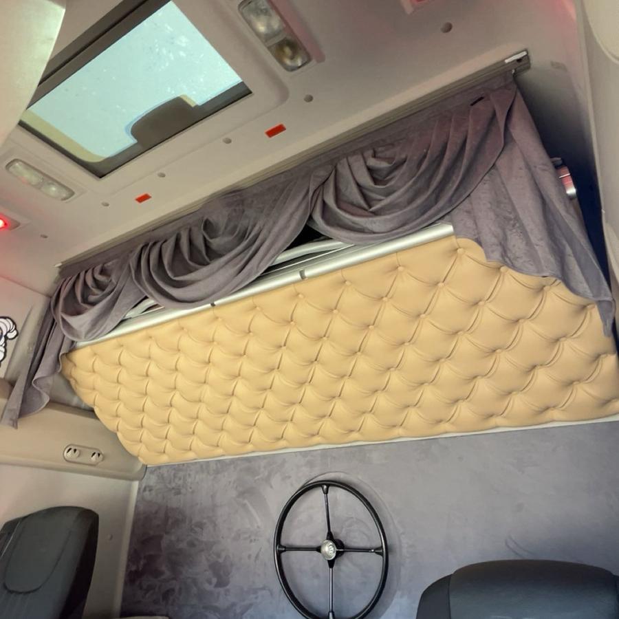 Bedplaat, zonneklep plaatje daf xf 106 ssc, Ophalen, Gebruikt, DAF, Interieur en Bekleding