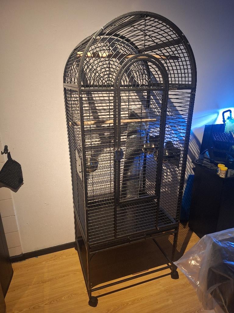 Keddoc vogelkooi texas nieuw, Ophalen, Nieuw, Metaal, Vogelkooi