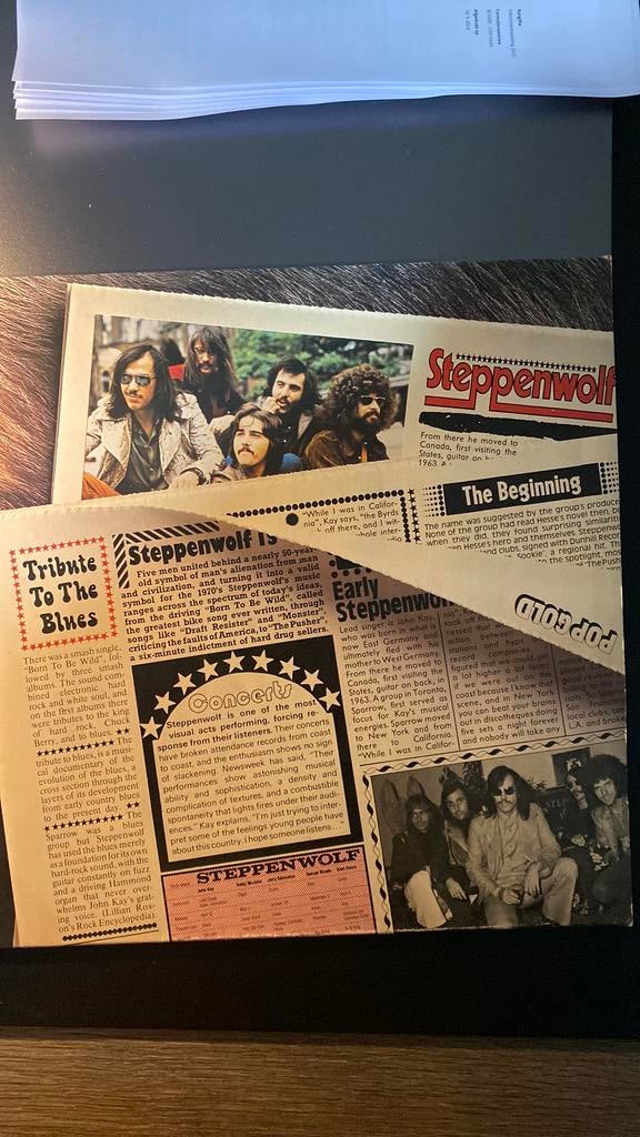 Steppenwolf. LP Pop Gold, Ophalen of Verzenden, Zo goed als nieuw, 12 inch, Poprock