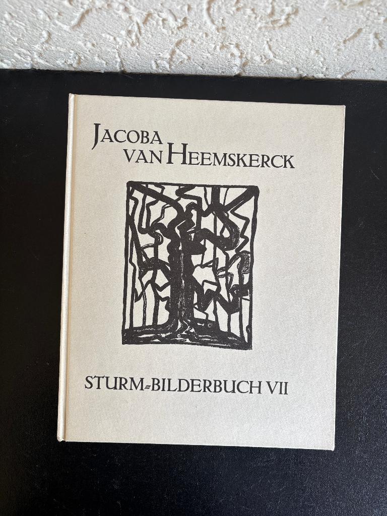 Jacoba van Heemskerck - Sturm-Bilderbuch VII - 1981, Gelezen, Jacoba van Heemskerck, Ophalen of Verzenden, Schilder- en Tekenkunst