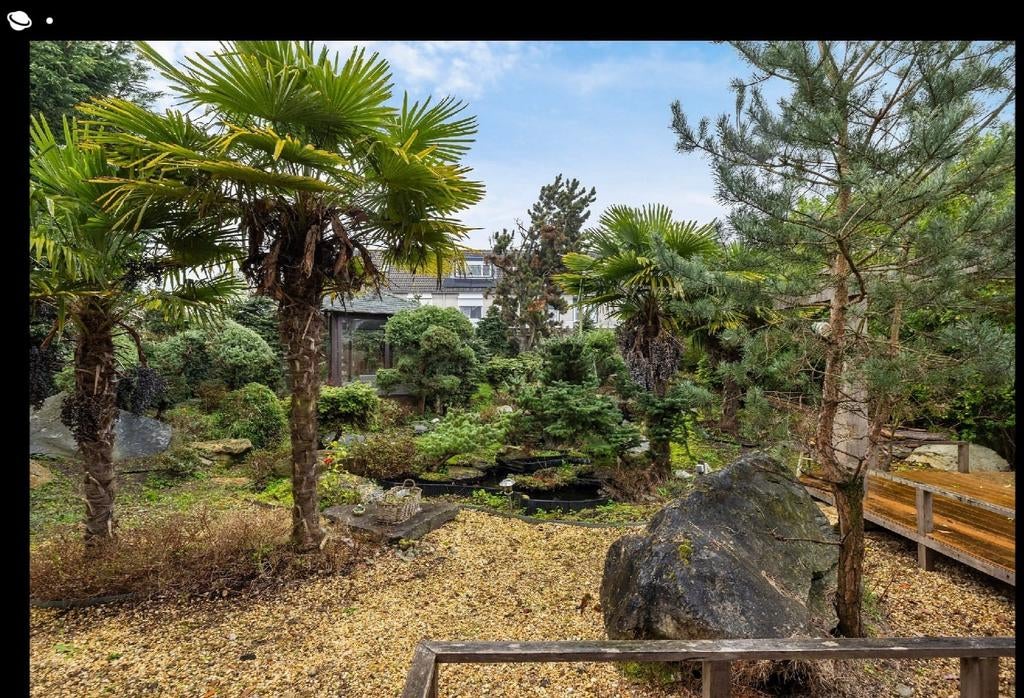 Complete tuin GRATIS af te halen – grote keien, palmbomen, Ophalen