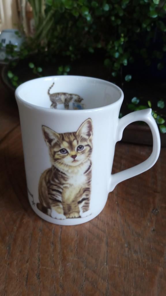 mok Francien's Cats 1996, Ophalen of Verzenden