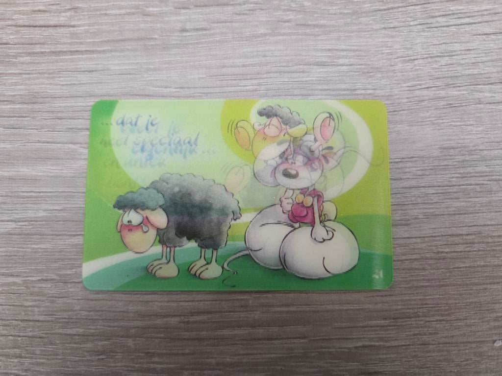 Diddl pasje met bewegende voorkant, Verzamelen, Diddl, Ophalen of Verzenden, Diddlina, Zo goed als nieuw