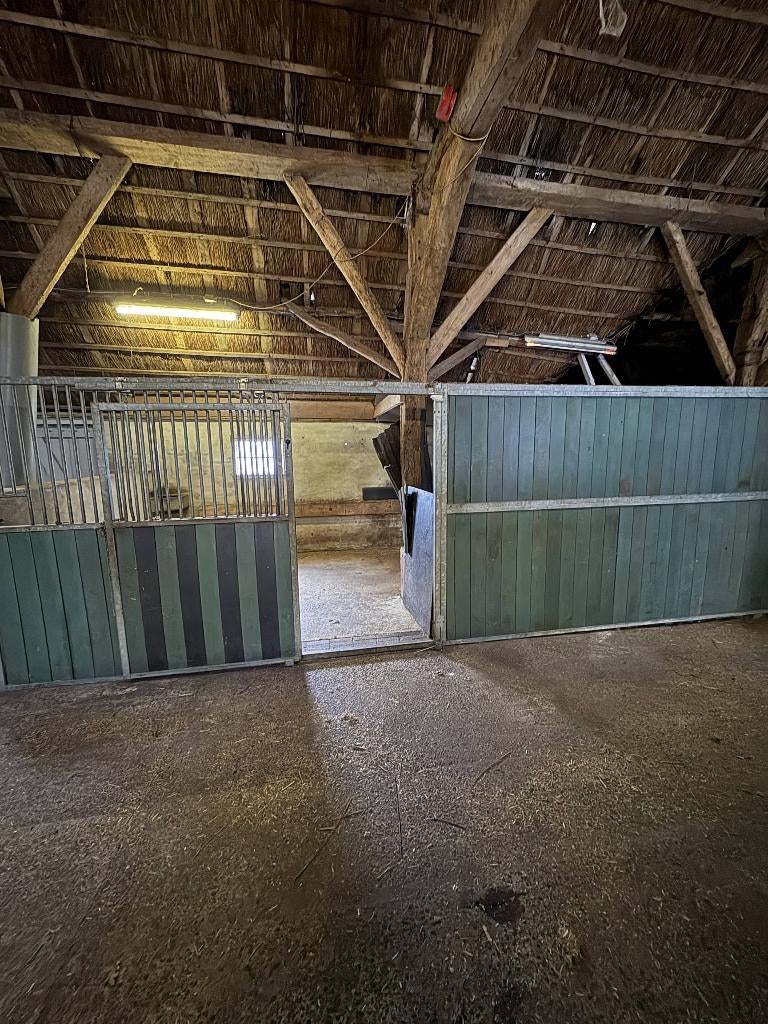 Paardenboxen te huur in Oldeholtpade, Dieren en Toebehoren, Stalling, 4 paarden of pony's of meer
