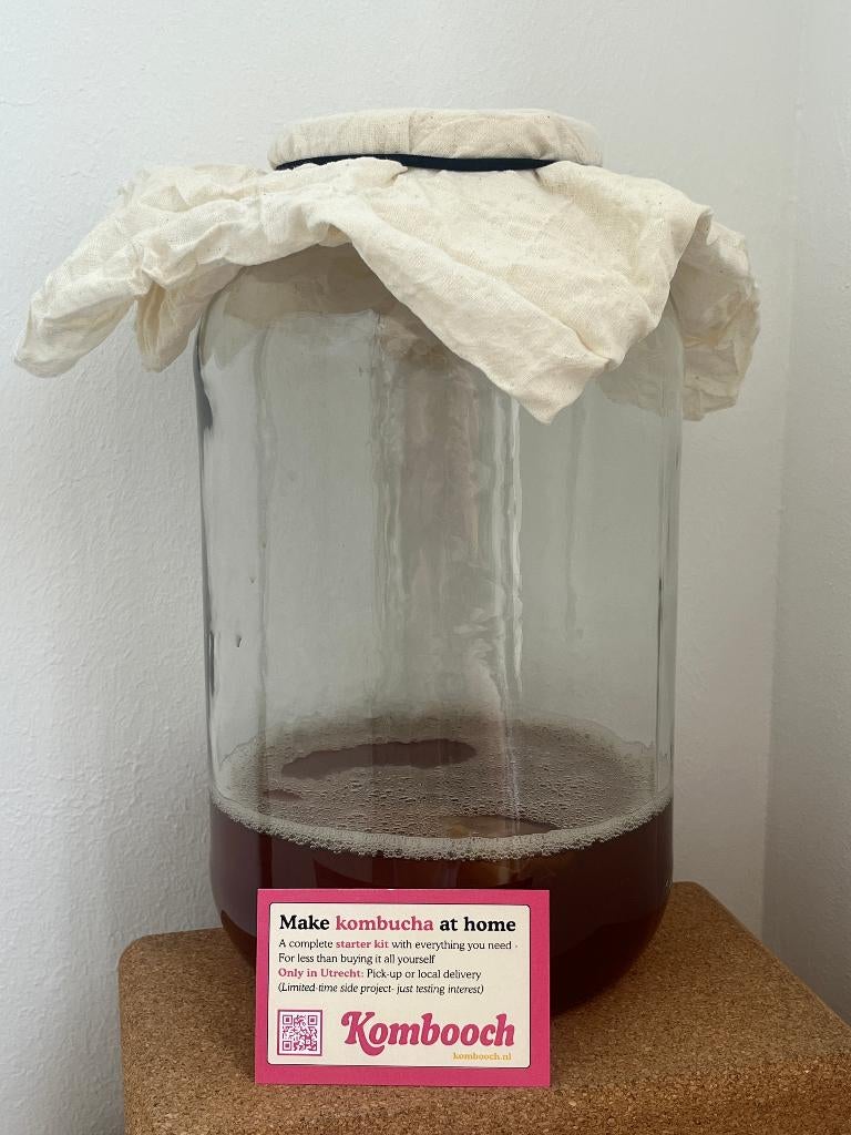 Kombucha startpakket met pot, SCOBY + - www.kombooch .nl, Ophalen, Nieuw, Overige typen