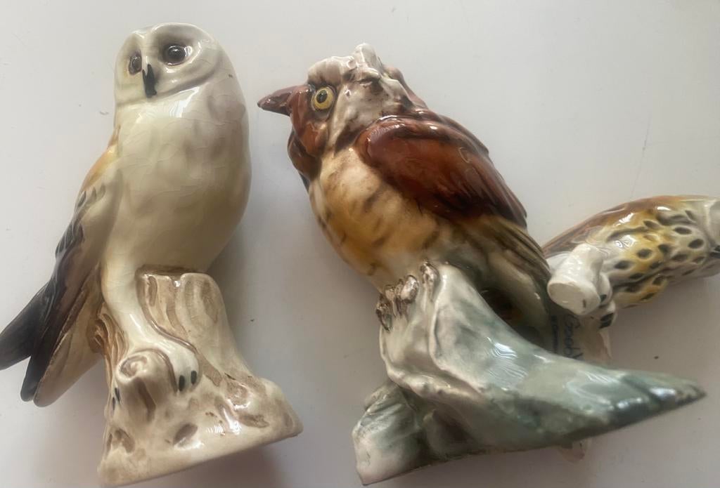 3 uilen van Goebel, Verzenden