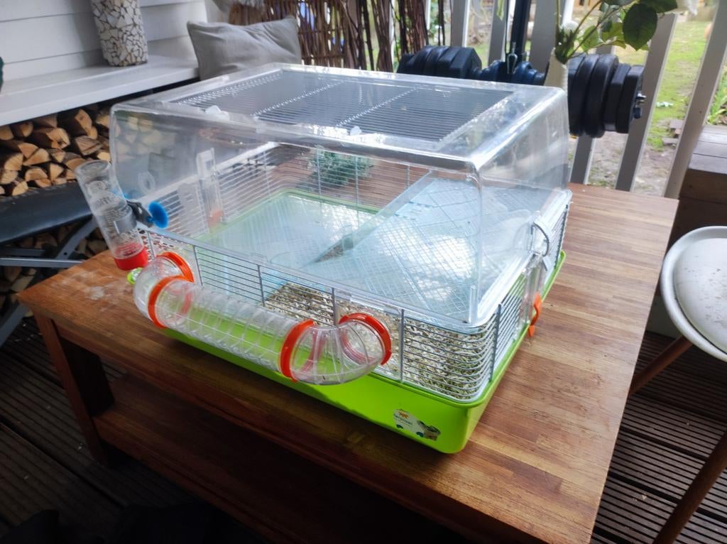 Kooi voor Hamster, ratten etcetera, Dieren en Toebehoren, Kooi, Minder dan 75 cm, Zo goed als nieuw, Cavia