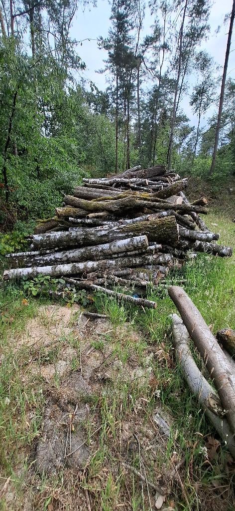 Haardhout, Ophalen of Verzenden, Nieuw, Vrijstaande haard, Houthaard