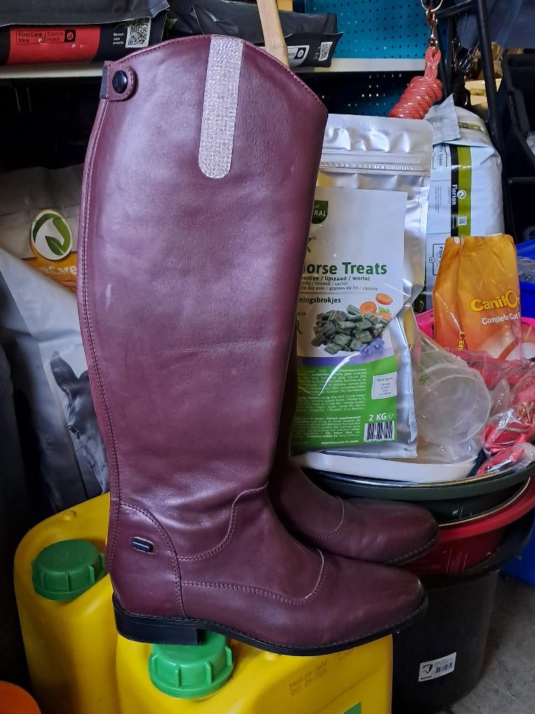 Rijlaarzen Bordeaux Nieuw, Dressuur, Nieuw, Ophalen of Verzenden, Dames