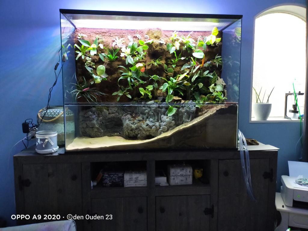 Paludarium van glas 60x20x60, Dieren en Toebehoren, Reptielen en Amfibieën | Toebehoren, Ophalen of Verzenden, Nieuw, Terrarium of Paludarium