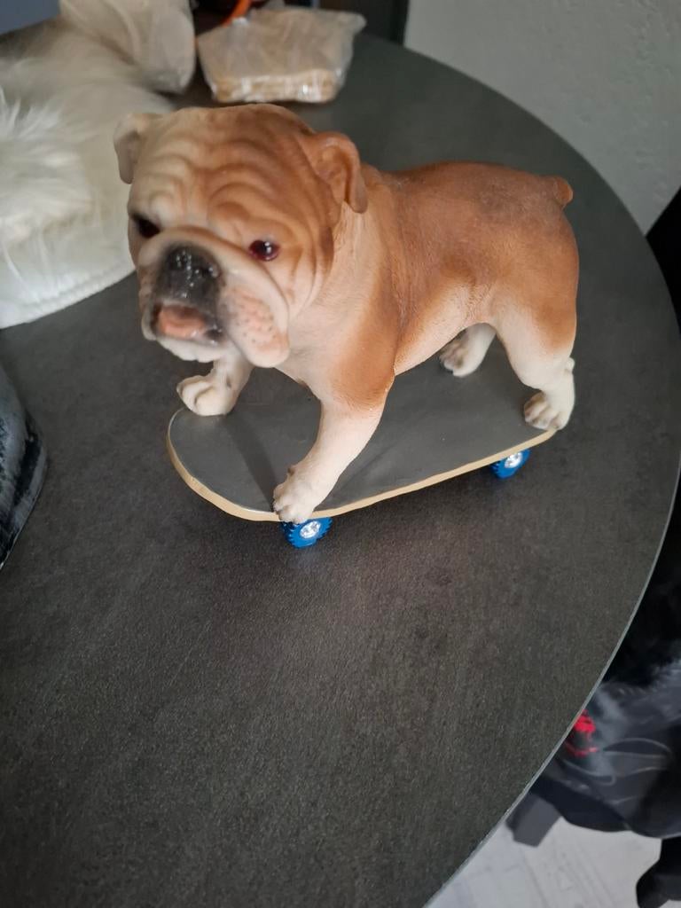Bulldog op Skateboard - Decoratief Beeld, Antiek en Kunst, Ophalen