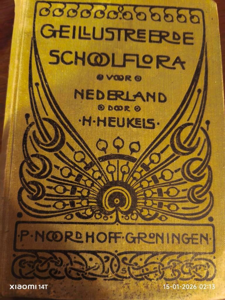 Geïllustreerde Schoolflora voor Nederland - H. Heukels, Ophalen of Verzenden