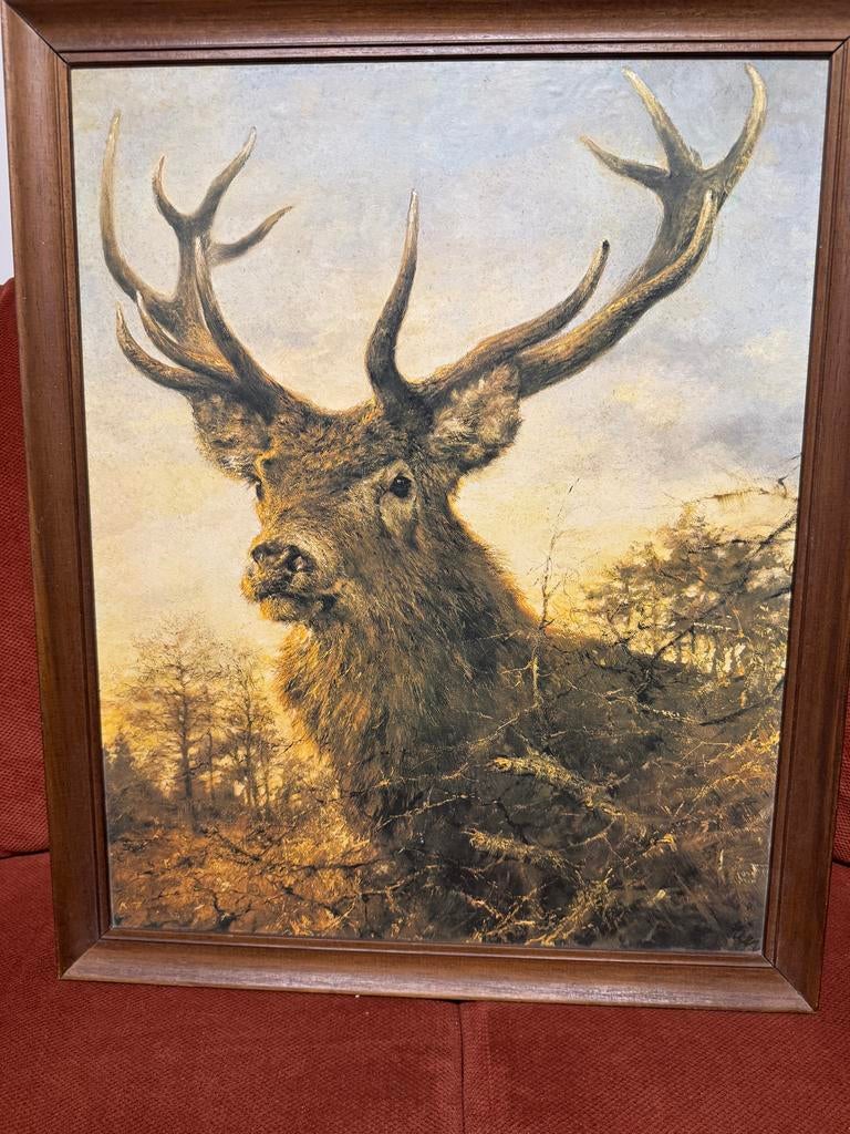 Ingelijste Rien Poortvliet druk - Hert, Antiek en Kunst, Kunst | Schilderijen | Klassiek, Ophalen