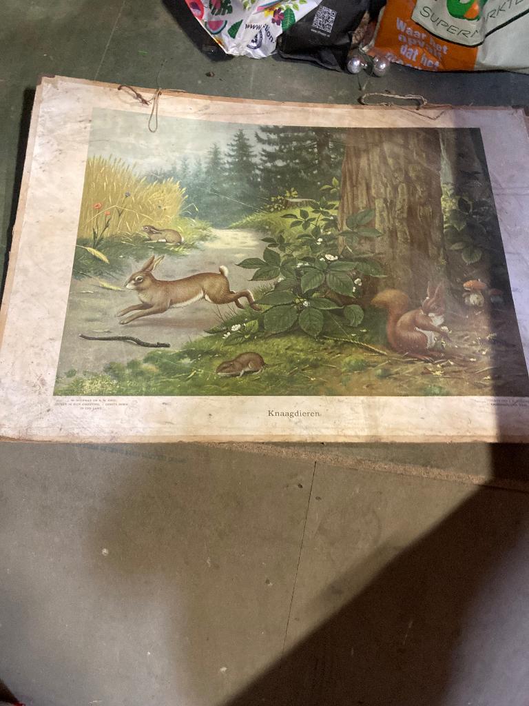 Schoolplaten, Ophalen, Natuur en Biologie