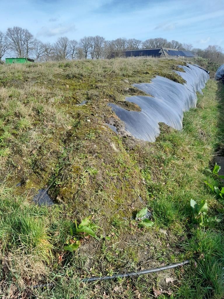 Graskuil, kuilgras, rijkuil 2024, Dieren en Toebehoren, Dierenvoeding, Ophalen, Vee