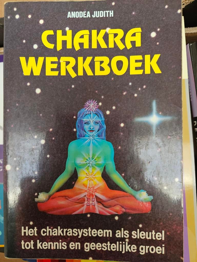 Chakra Werkboek Anodea Judith, Boeken, Ophalen of Verzenden
