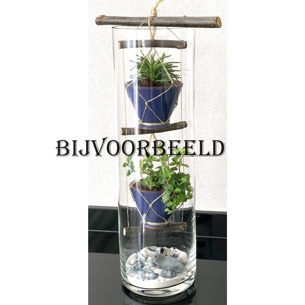 grote vierkante vaas is uitermate geschikt als terrarium., Ophalen of Verzenden, Overige kleuren, Glas, Minder dan 50 cm