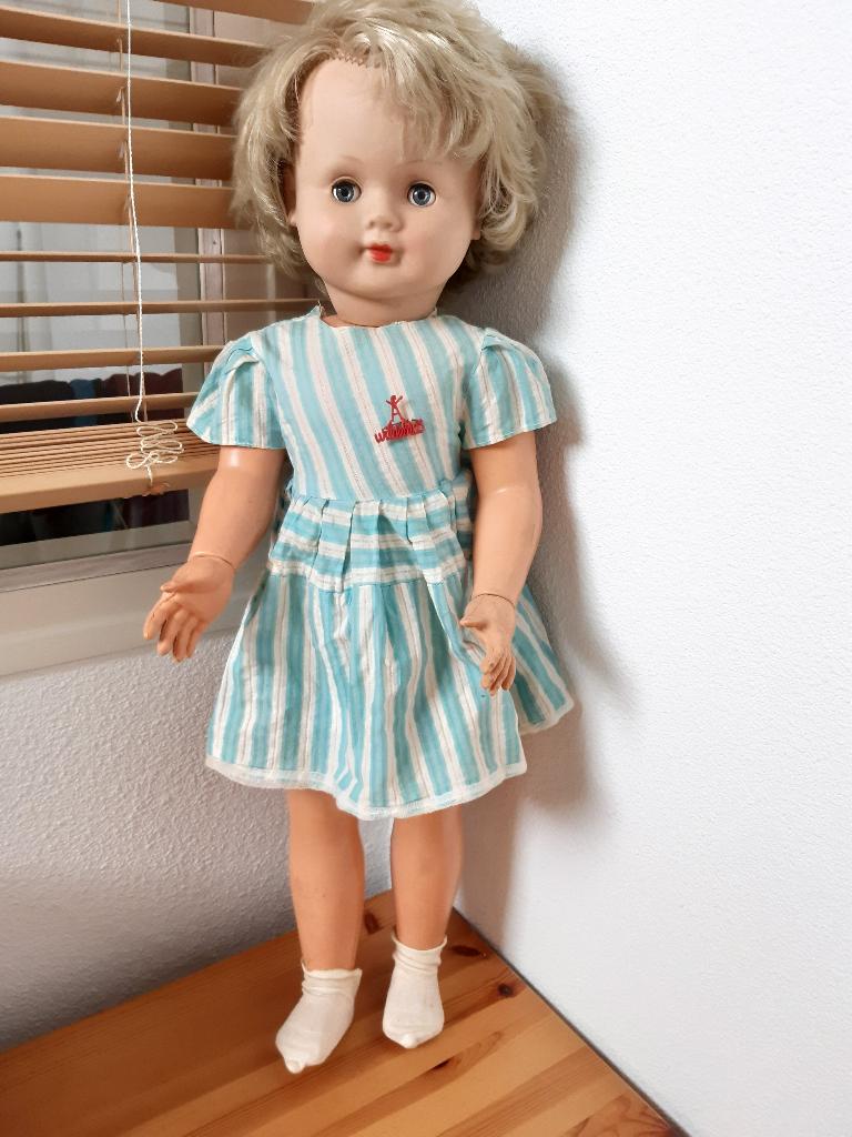 pop Wildebras, Verzamelen, Ophalen of Verzenden, Gebruikt, Pop