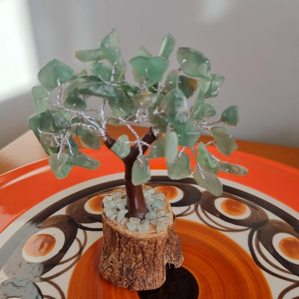 Jadeboom, Ophalen of Verzenden