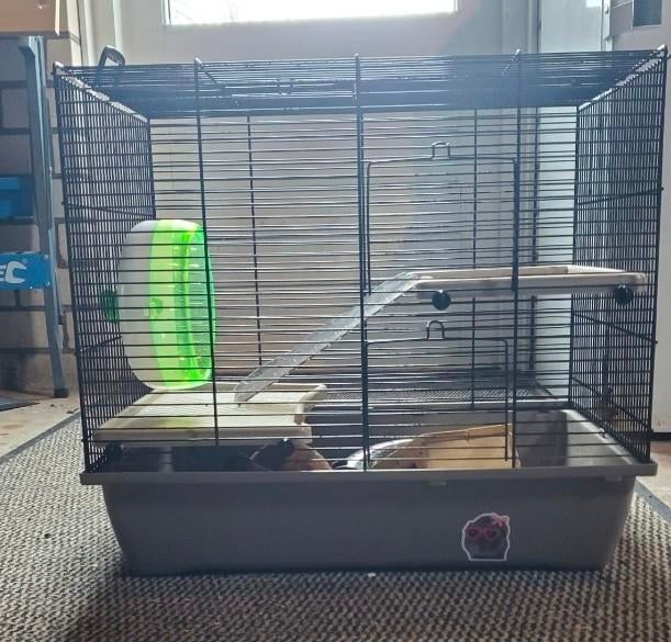 Leuke complete hamsterkooi, Ophalen, Zo goed als nieuw, Metaal, Vogelkooi