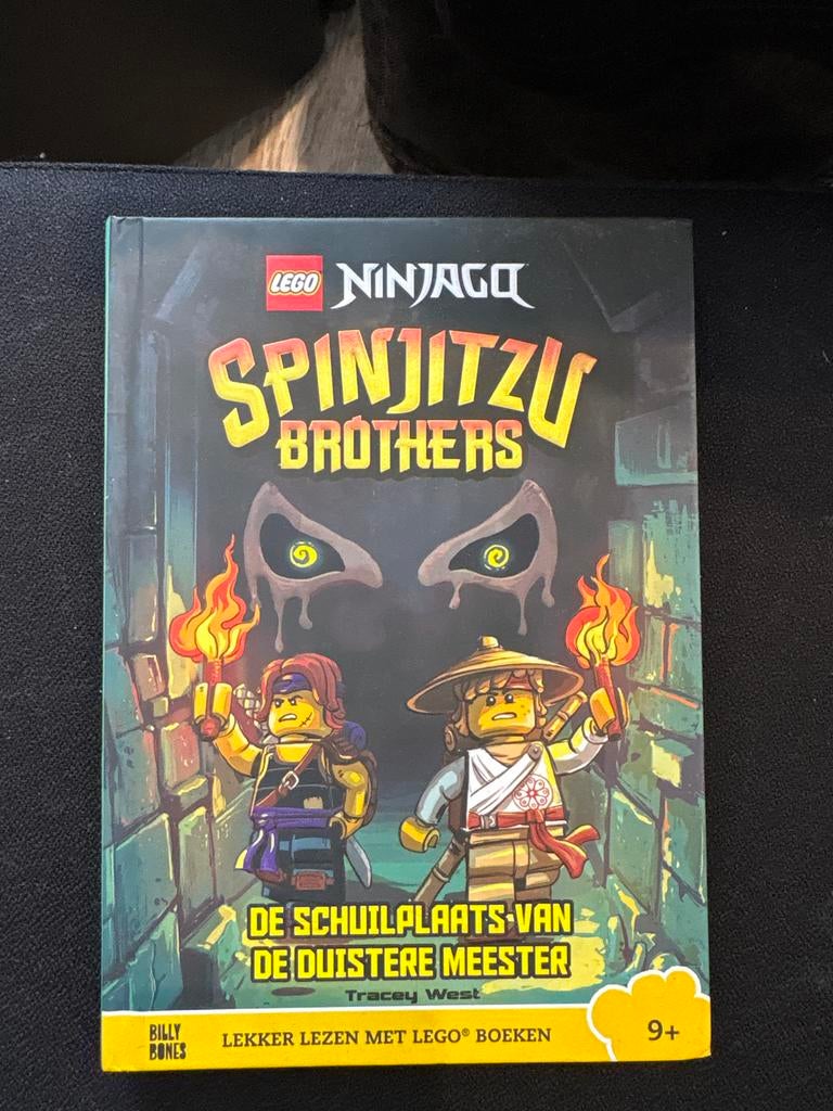 LEGO Ninjago Spinjitzu Brothers: De Schuilplaats van de Duis, Ophalen of Verzenden, Gelezen, Fictie algemeen