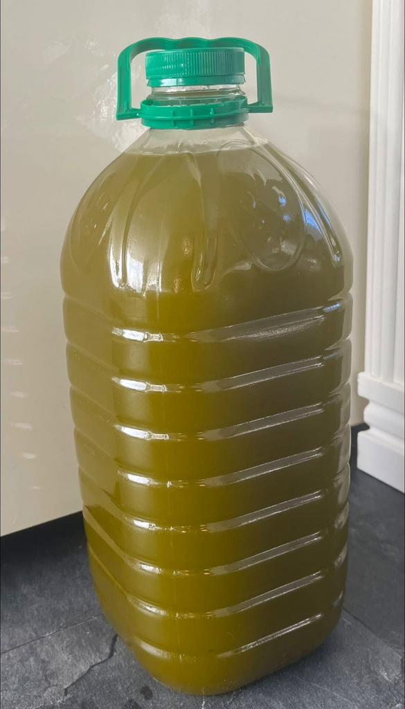 Biologische olijfolie uit Driouch extra vierge, Ophalen of Verzenden